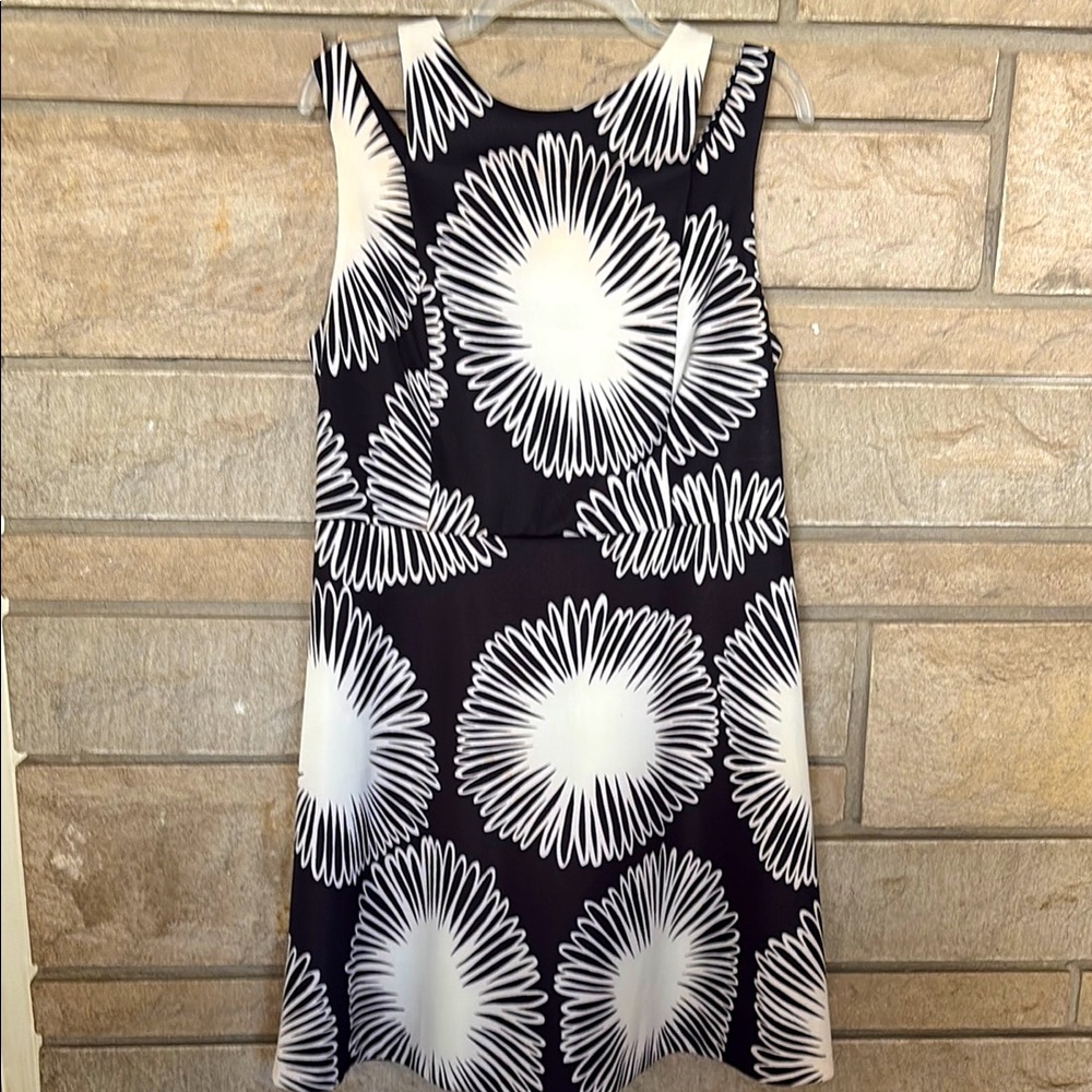 Kensie Black and White Dress